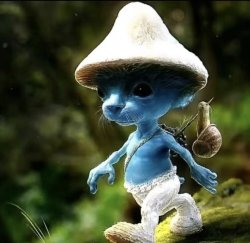 Blue Smurf cat Meme Template