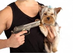 dog hostage Meme Template