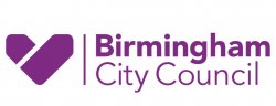 Birmingham City Council Meme Template