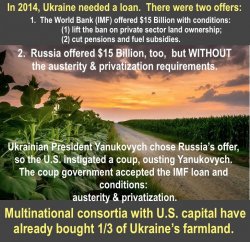 Ukraine_maidan_2014_imf_loan_Rus (...) Meme Template