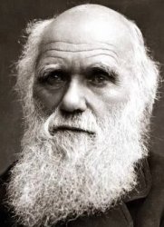Darwin Meme Template