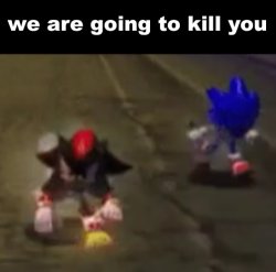 shadow and sonic we are going to kill you Meme Template