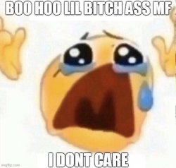 Boo hoo lil bitch ass mf. I don't care Meme Template