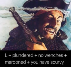 pirate ratio Meme Template