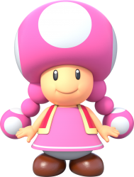 Toadette Meme Template