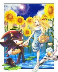 theyre in a chao garden i think (art by okami) Meme Template