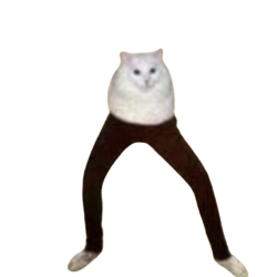 Cursed Cat Meme Template