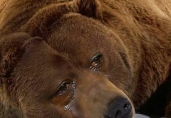 Bears fans after losing to Green Bay Meme Template