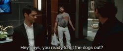 Zach Galifianakis Let The Dogs Out GIF - Zach Galifianakis Let T Meme Template