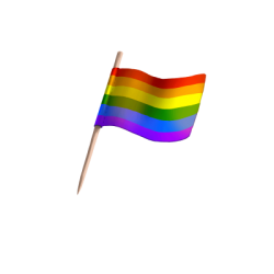 Pride Flag Meme Template