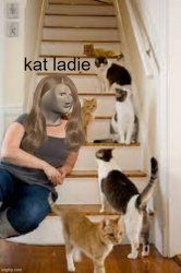 kat ladie Meme Template