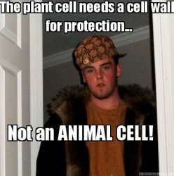 The Cell Developer Meme Template