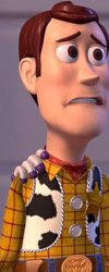 Toys toys everywhere woody Meme Template