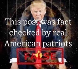 This post was fact checked by real American patriots Meme Template