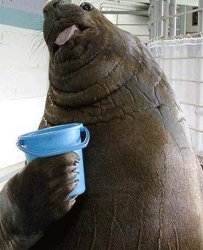 bucket Meme Template