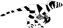 Zebra Meme Template