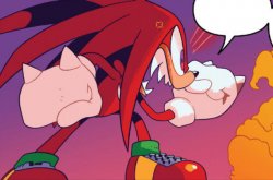 knuckles yell Meme Template