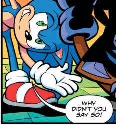 sonic why didnt you say so Meme Template