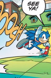 sonic see ya Meme Template