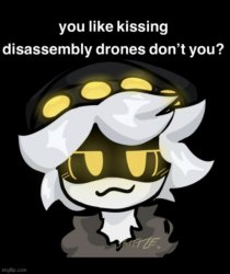 you like kissing disassembly drones don't you? Meme Template