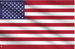 flag Meme Template