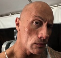 therock eyebrow Meme Template