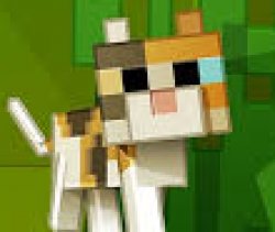 Minecraft cat Meme Template