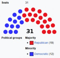 Texas Senate 2024 Meme Template