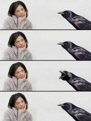 Woman and crow Meme Template