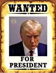 trump wanted for president poster Meme Template