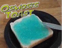 Osmosis toast Meme Template