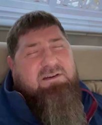 Kadyrov sleeping Meme Template