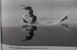 Paddling ant Meme Template