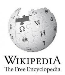 Wiki Meme Template