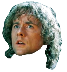 Pippin's head Meme Template