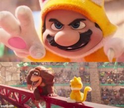 Mario's furriest moment Meme Template