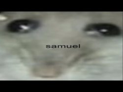 Samuel Meme Template