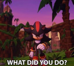 shadow what did you do Meme Template