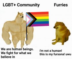 Anti furry Meme Template