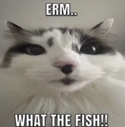 Erm.. What the fish Meme Template