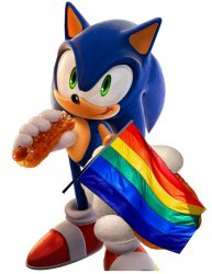 Gay Sonic Meme Template