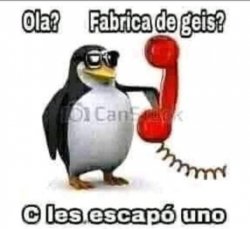 Rude Penguin (Hispanic) Meme Template