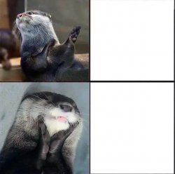 Otters version of the drake meme Meme Template