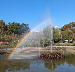 half rainbow Meme Template