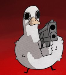 Duck with gun Meme Template