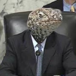 lizard Meme Template