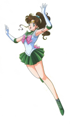 Sailor Jupiter Meme Template