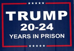 trump prison Meme Template