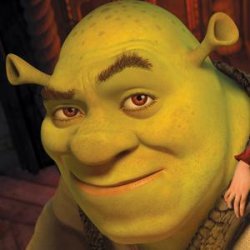 Shrek Sexy Face Meme Template