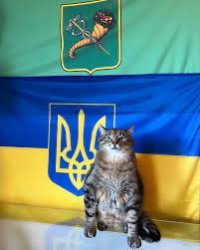 Stepan cat Meme Template